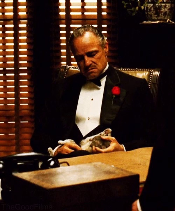 The Godfather