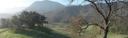 Film and the American Landscape